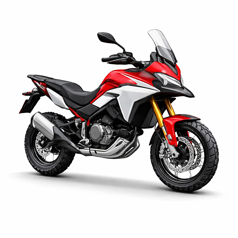 Dual Sport